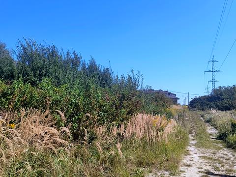 участок по адресу Пасечная ул.