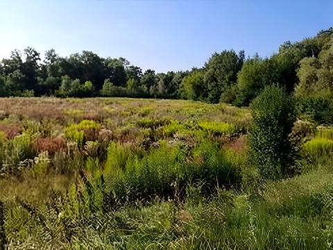 участок по адресу 