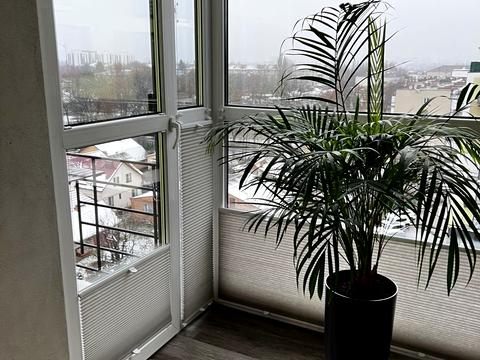 квартира по адресу Владимира Ивасюка ул., 14-В