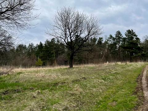 участок по адресу Підгірці, 2