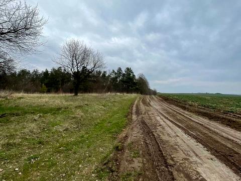 участок по адресу Підгірці, 2