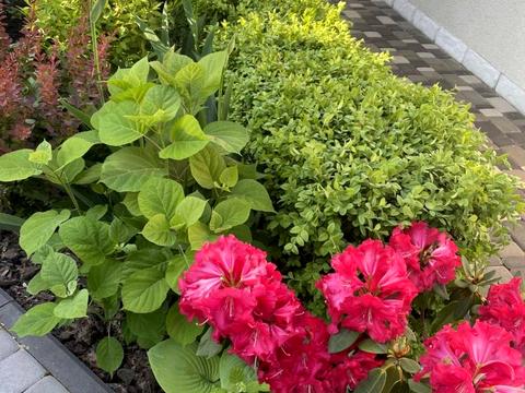 будинок за адресою вул. Тараса Шевченка