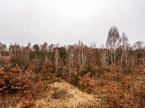 дом по адресу Київська ул.