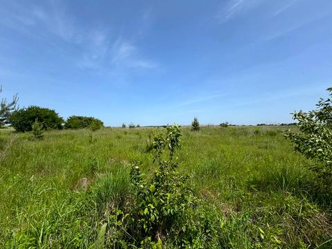 участок по адресу Центральна