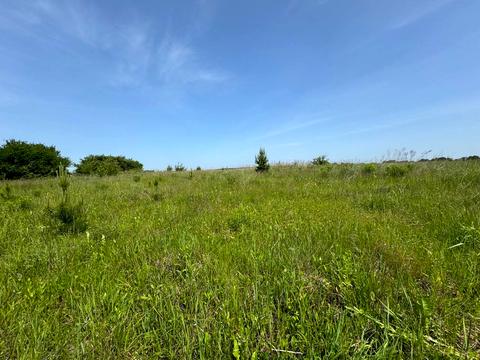 участок по адресу Центральна