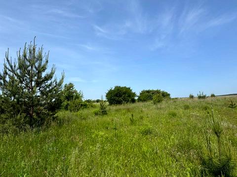 участок по адресу Центральна