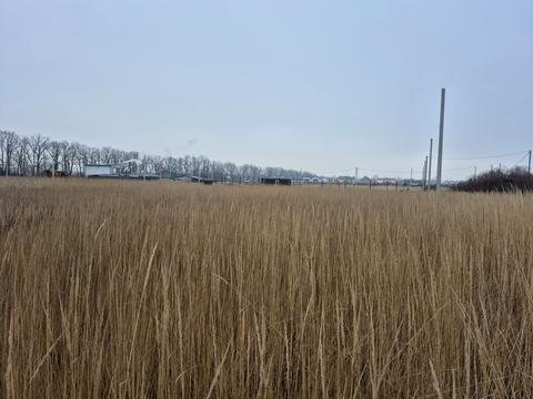 участок по адресу Вербицького Михайла, 10