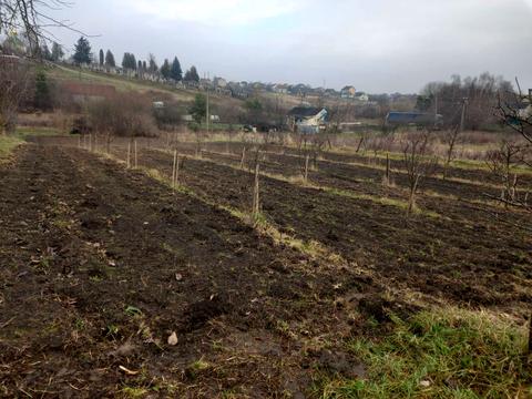 будинок за адресою Дубова вул.