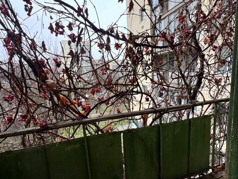 квартира за адресою Науки просп., 15