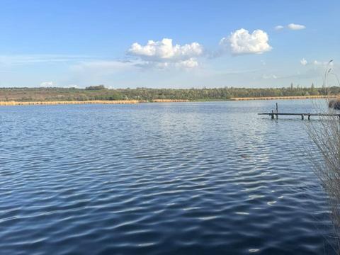 дом по адресу Аврора, 15