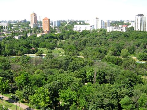 квартира за адресою Шевченка просп., 33б