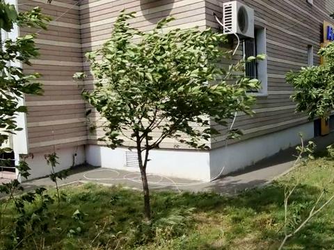 коммерческая по адресу Елизаветы Чавдар ул., 14