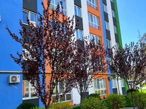 квартира по адресу Дмитра Павличка ул., 33