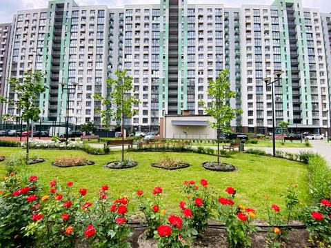 комерційна за адресою Тираспольська вул., 52