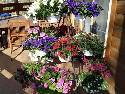 дом по адресу Соборная ул.