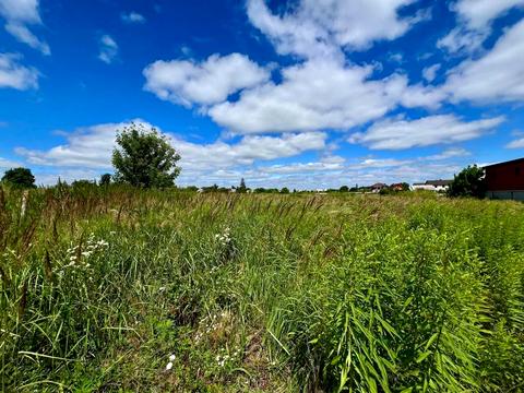 ділянка за адресою Черняхівського вул.