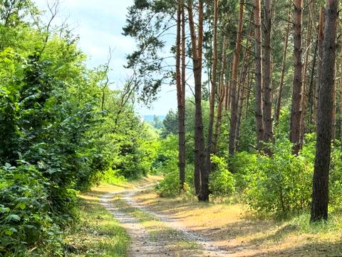 участок по адресу 