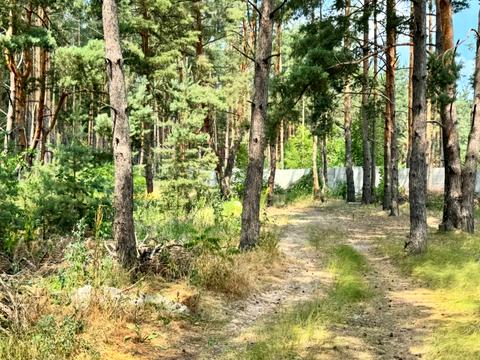 участок по адресу 