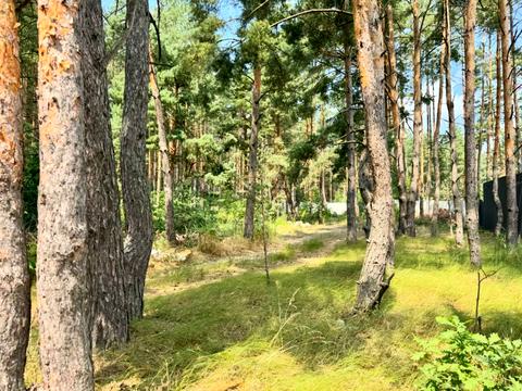 участок по адресу 