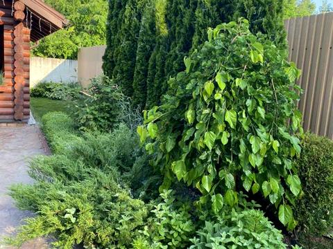 будинок за адресою Старосільська, 47