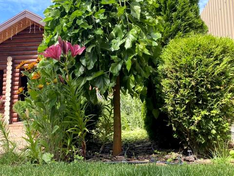 будинок за адресою Старосільська, 47