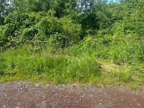 ділянка за адресою Ужгород, Виноградна вул.