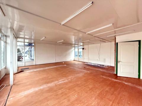 комерційна за адресою Велика Діївська вул. (Братів Трофімових), 111р