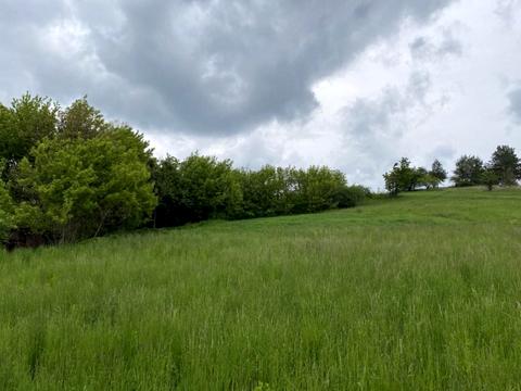 ділянка за адресою с. Барахти, Хліборобська