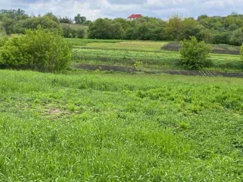 ділянка за адресою с. Барахти, Хліборобська