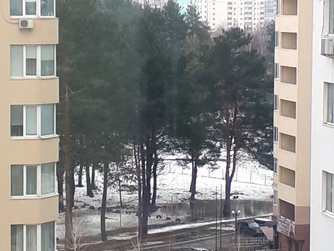 квартира за адресою Шевченка вул., 4