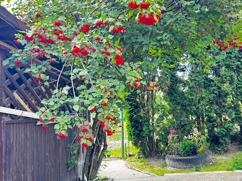 будинок за адресою с. Годовиця, Щастя, 5