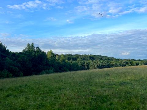 ділянка за адресою  Буда, 