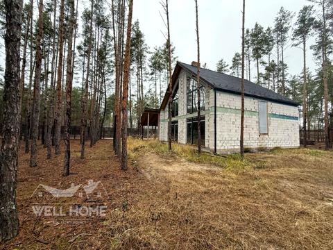 будинок за адресою лебедина