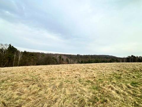 ділянка за адресою  Буда, 