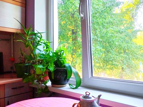 квартира за адресою Григорівського Десанту просп., 22а