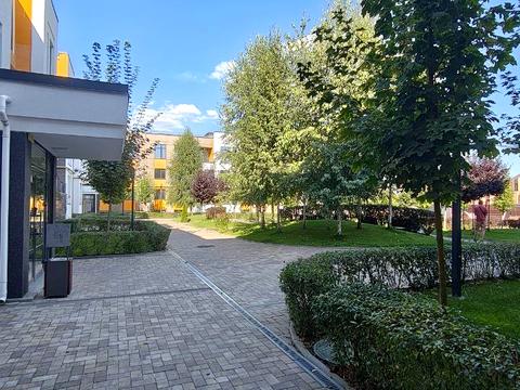 квартира по адресу Наталії Околітенко ул. (Ломоносова), 81