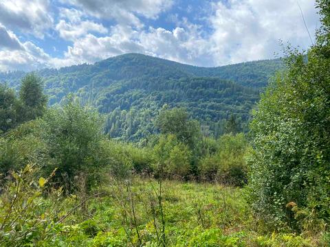 ділянка за адресою 