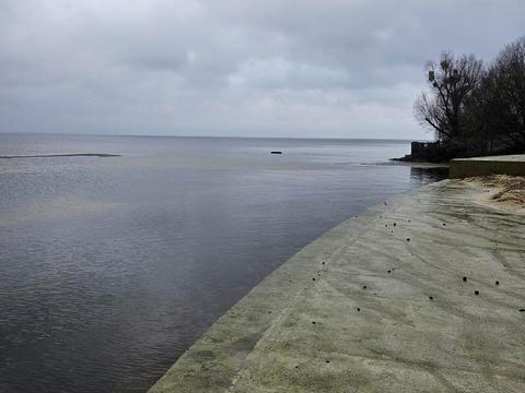 ділянка за адресою с. Сухолуччя, 