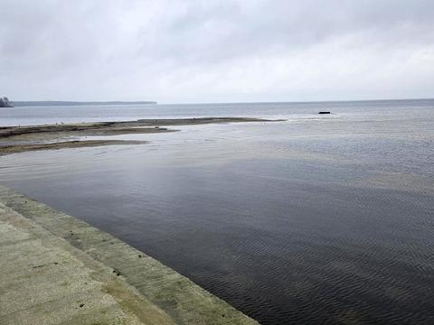 ділянка за адресою с. Сухолуччя, 