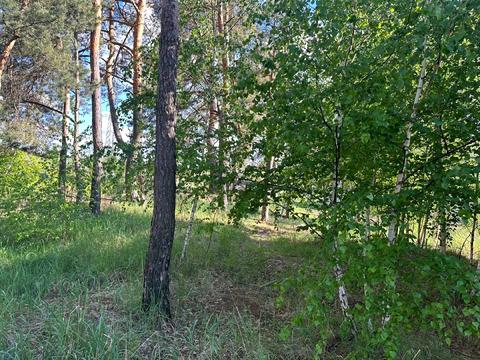 ділянка за адресою Лугова вул.