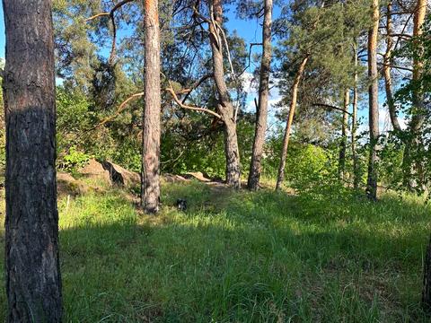 ділянка за адресою Ірпінь, Лугова вул.