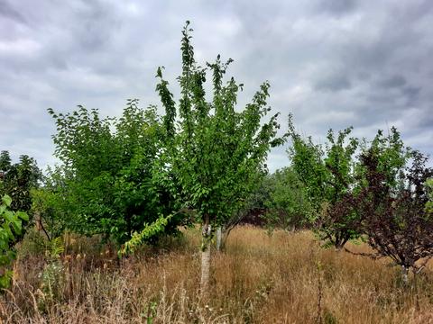 будинок за адресою Згода