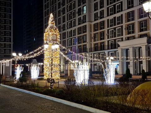 квартира по адресу Михаила Максимовича ул. (Трутенко Онуфрия), (Будинок «Віндзор»)