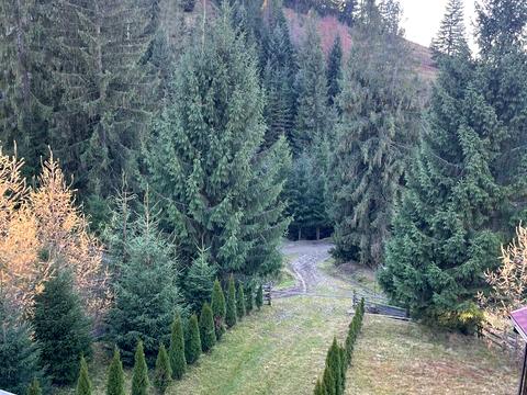 дом по адресу Войтул