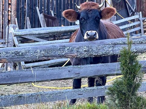 дом по адресу Войтул