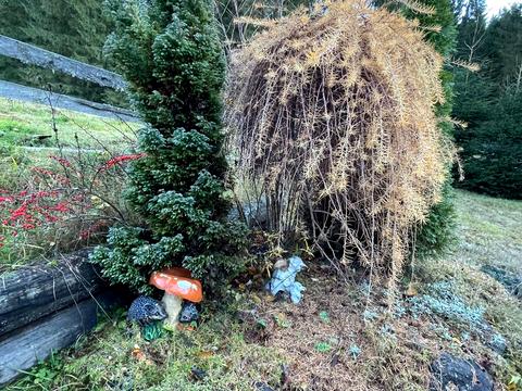 дом по адресу Войтул