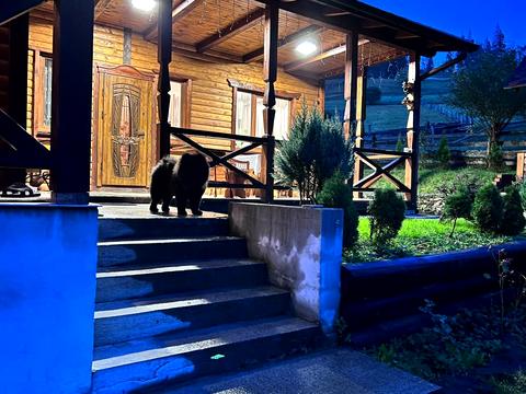 дом по адресу Войтул