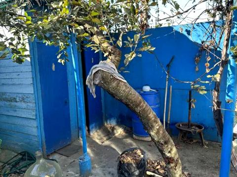 будинок за адресою Свободи просп., 16