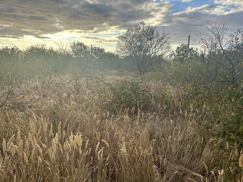 ділянка за адресою Озерна вул., 1