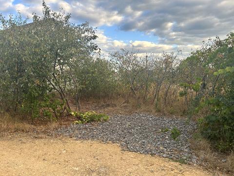 ділянка за адресою Озерна вул., 1